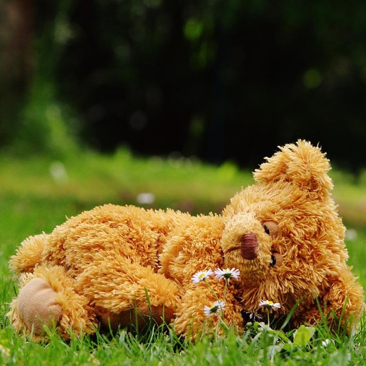 可爱小熊毛绒公仔